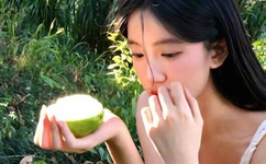 西游之问道诸天